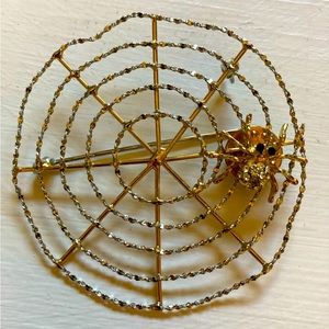 Spiderweb Brooch Pin